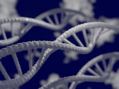human biology genetic dna strain